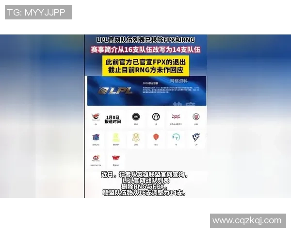 深入分析RNG战队在DOTA2赛场上的实力与战术表现